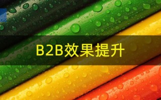B2B是什么意思，企业B2B效果提升方法