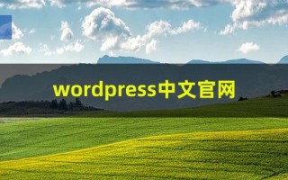 wordpress中文官网是什么，wordpress程序下载