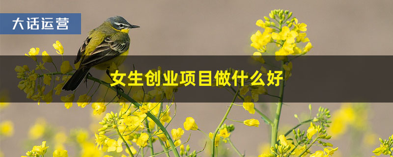 女生创业项目做什么好