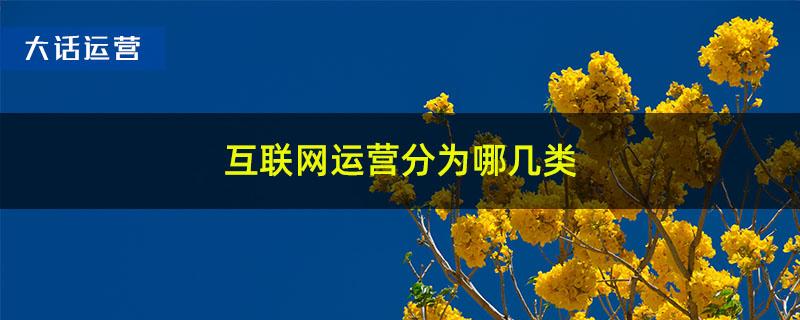 互联网运营分为哪几类